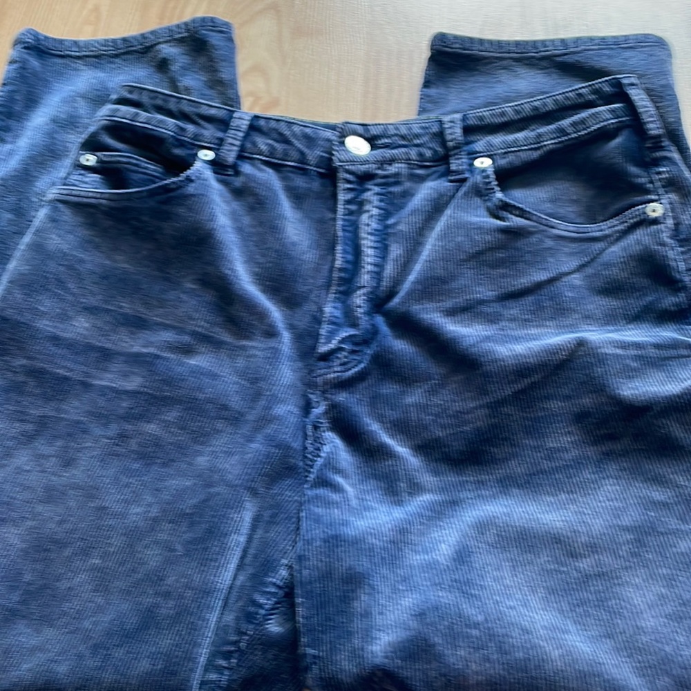 Anthropologie Size 31 Pilcro blue Corduroy Pant Size 31